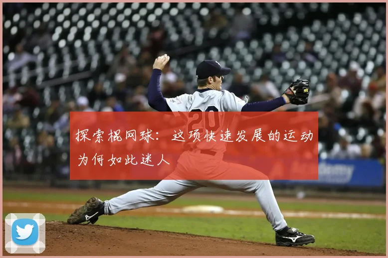 探索棍网球：这项快速发展的运动为何如此迷人