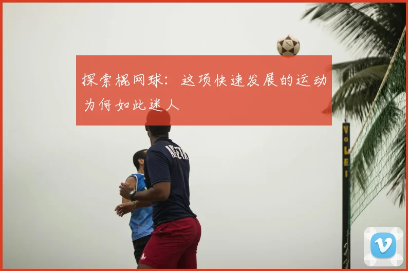 探索棍网球：这项快速发展的运动为何如此迷人