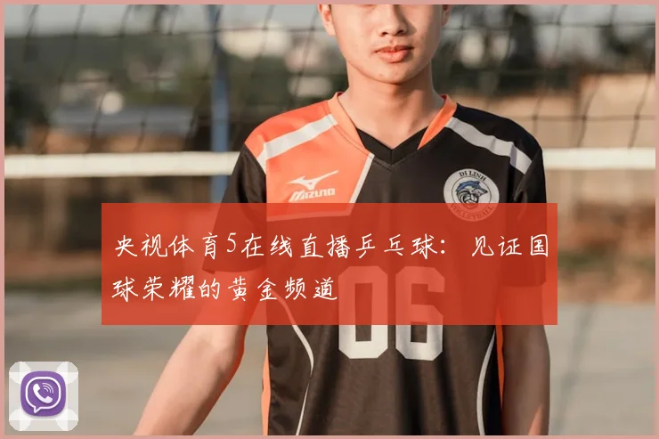 央视体育5在线直播乒乓球:见证国球荣耀的黄金频道